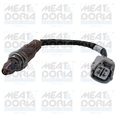 Oxygen Sensor